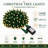 200-Light 66 ft. Warm White LED Christmas String Lights with 8 Modes, Memory Function & Green Wire