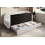 Shamirra 2 Seater Sofa Bed-681575066