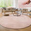 Anarely Shaggy Rug in Pink-454312445