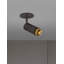 1 - Light Spotlight-2078808012