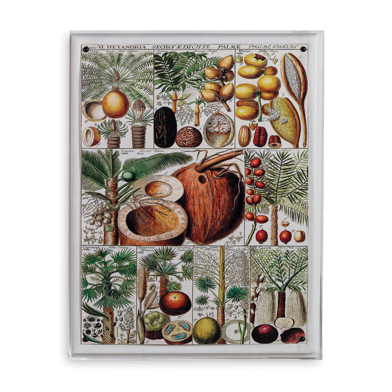 Palm Chart Print
