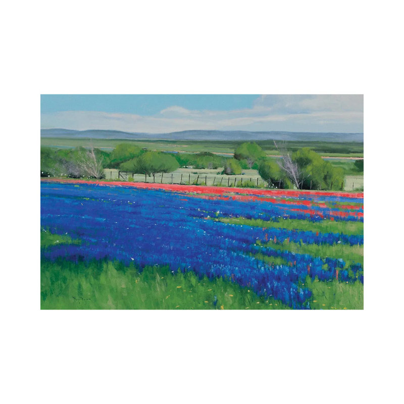 Texas Spring by Ben Bauer - Wrapped Canvas Painting, 20.32 cm H x 30.48 cm W