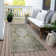 Fresnel Washable Oriental Indoor / Outdoor Rug