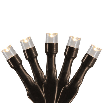 Guirlande de lumières à DEL