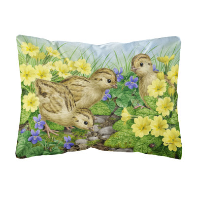  Coussin décoratif intérieur / extérieur Pheasant Chicks