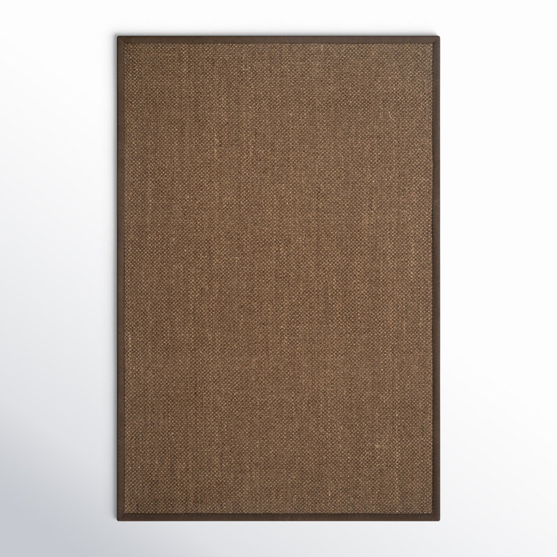 Auckland Jute/Sisal Brown Area Rug, Rectangle 4' x 6'
