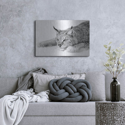 " Lynx 1 " by PhotoINC Studio