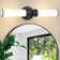 Nanango 2 - Light Dimmable Vanity Light