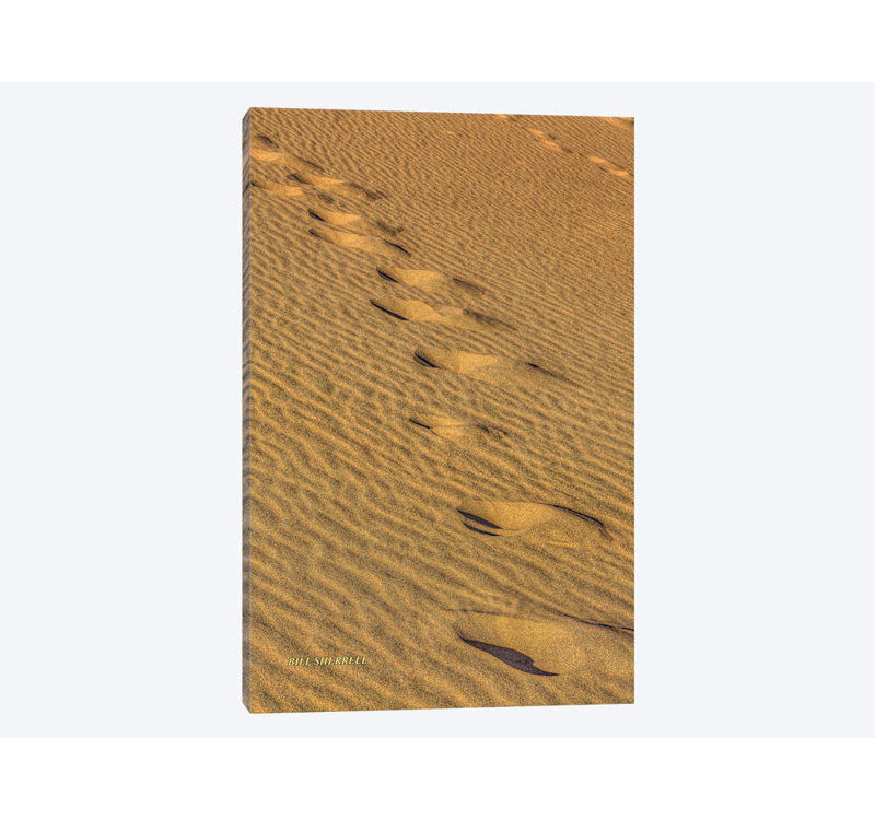 «Footprints In The Sand» par Bill Sherrell, impression sur toile tendue, H 24 po x l 16 po x P 1 po, Blanc