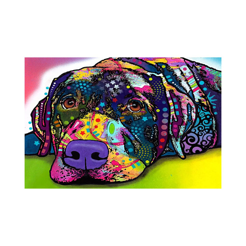 Savvy Labrador by Dean Russo - Wrapped Canvas Print, 20.32 cm H x 30.48 cm W