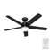 52" Anorak 5 - Blade Outdoor Standard Ceiling Fan with Lights and Wall Control