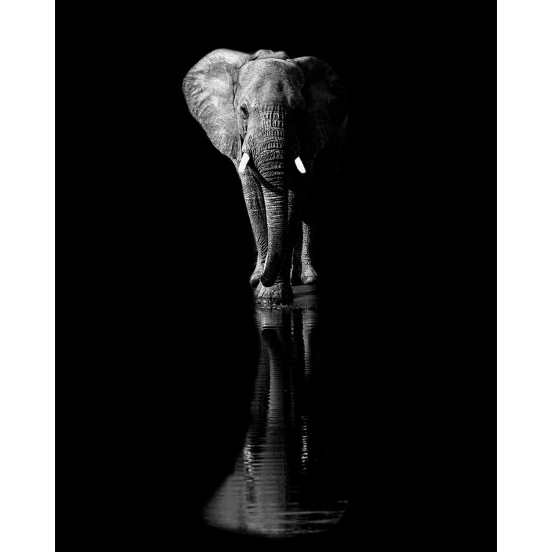 Wrapped Canvas Print, 81.28 cm H x 121.92 cm W