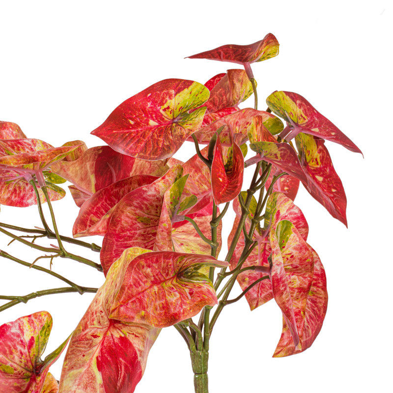 Feuilles de vignes suspendues 15 po Primrue