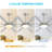 Osaze Ceiling Fan with LED Lights-95994506-91132636
