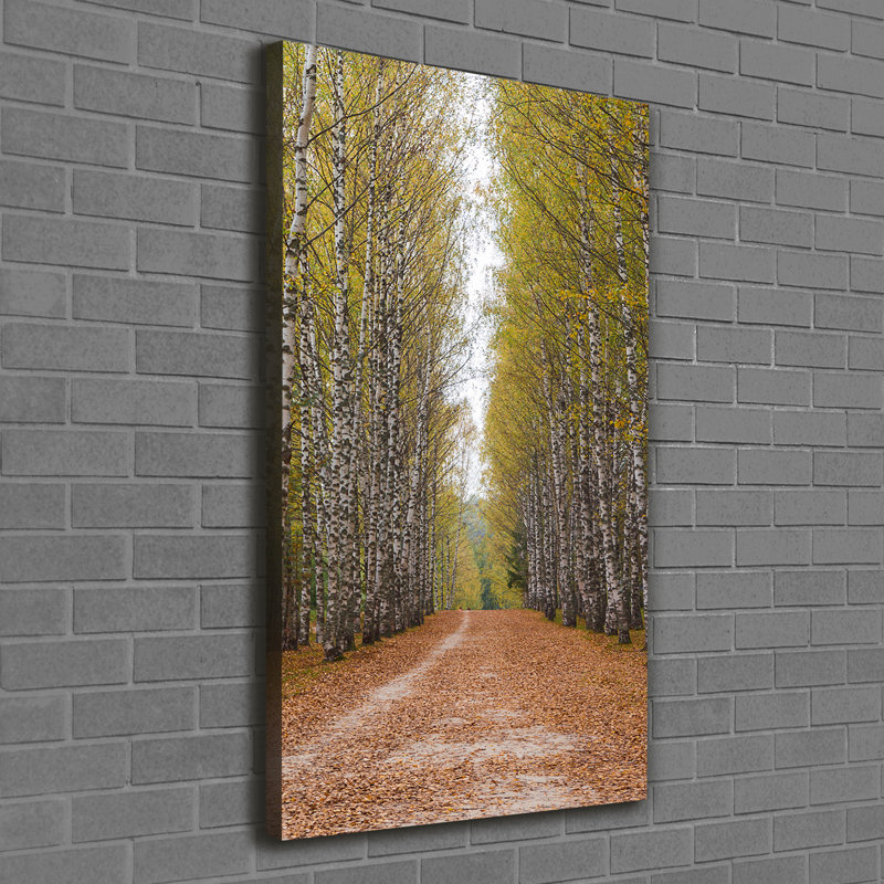 Birch Forest - Wrapped Canvas Print