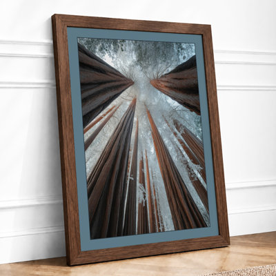 Towering Forest Canopy Scandinavian - Print