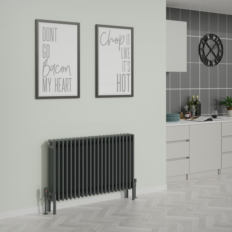 Altynay Horizontal Traditional 4 Column Radiator, Anthracite, 600mm H x 1010mm W x 140mm D