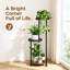 Plant Stand