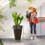 Ensemble de 3 jardinières en plastique 28 po, brun-1070615895