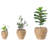 Pot Planter