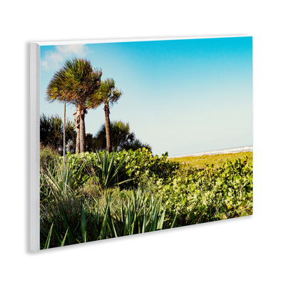 «Lush Tropical Shoreline» par Stede Bonnett