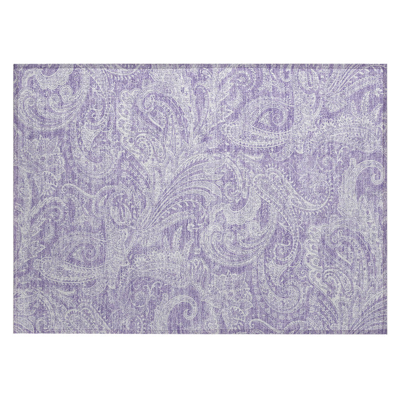 Cresley Paisley Indoor / Outdoor Rug, Rectangle 1'8" x 2'6"