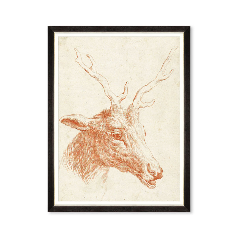 DEER HEAD