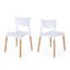Chaise en plastique (ensemble de 2)
