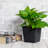 5" Square Nursery Planting Pot - Fade Plastic  5 . With Drainage For All Plant Types Container Inhibitor Treated With For Outdoor Growth-632209158