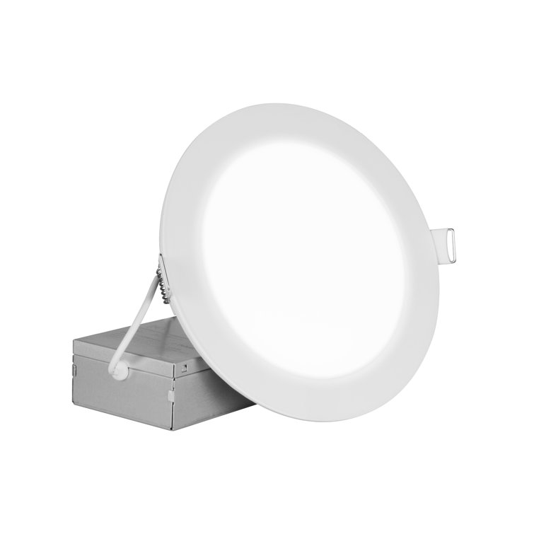 REL Series 8 In. Round White Canless LED Downlight In 5000K