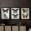 Papillons bleus antiques I - Toile tendue avec châssis sur mesure - 3 pièces-2109414388-2109414395