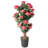 44" Multi Vine Trunk Azalea Flowering Tree in Pot