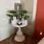 Customer photo 3 of 3