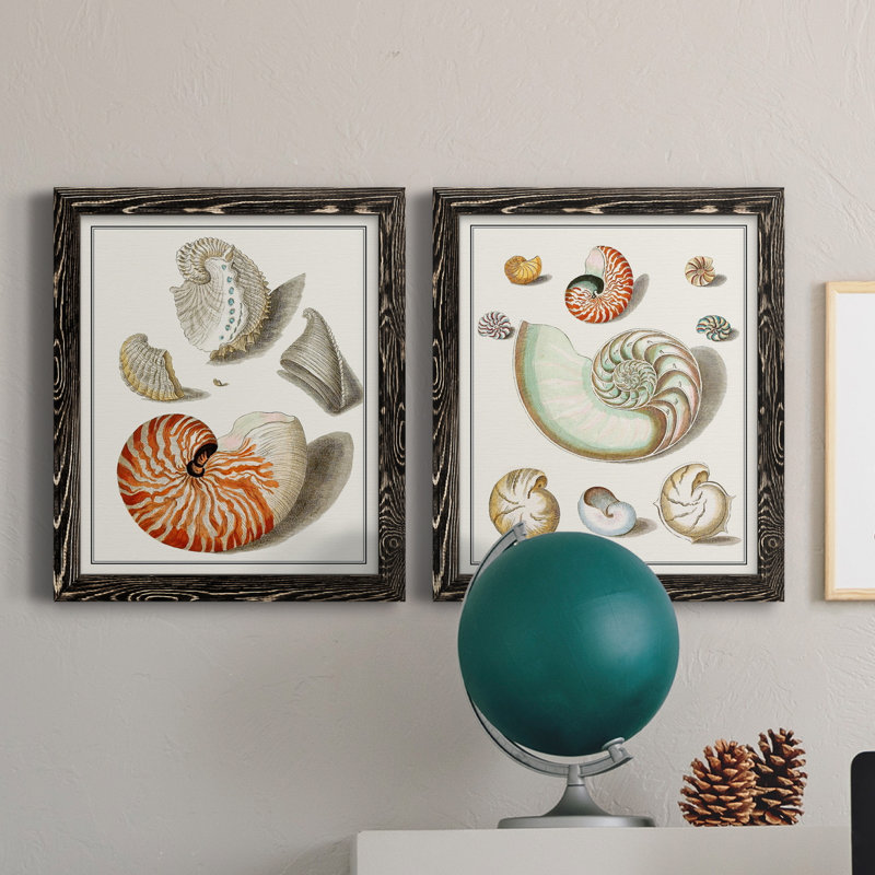 Collection de coquillages I - ensemble de 2 reproductions d'art sur toile, Toile avec cadre noir