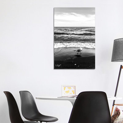 Seagull I by Donnie Quillen - Print on Canvas
