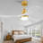 Hot Sales 42 Inch Indoor Ceiling Fan With Dimmable LED Light 3 Solid Wood Blades Remote Control Reversible DC Motor
