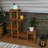 Turnbridge Plant Stand