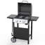 Barbecue au propane en acier inoxydable à 2 brûleurs R.W.FLAME 20 000 BTU - noir, avec couvercle, roues et thermomètre - Barbecue d'extérieur