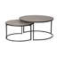 Ensemble de tables basses 2 pièces Estral