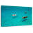 Brampt Pigs In Exuma Cays-106311900