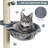 56.5 " H Cat Toys-1916988720