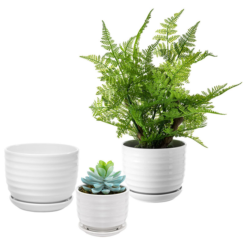 Ceramic Pot Planter, White