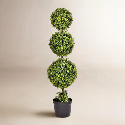 60" Boxwood Topiary in Pot