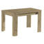 Shekhar Dining Table-189990149-190053321