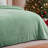 Brushed Flannel Blanket Winter Green Throw-116843117