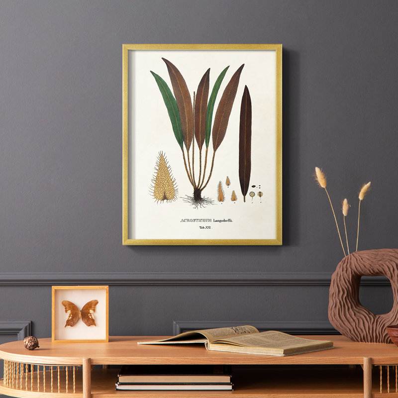 Botanical Society Ferns I, reproduction encadrée - bois massif, H 14 po x l 11 po