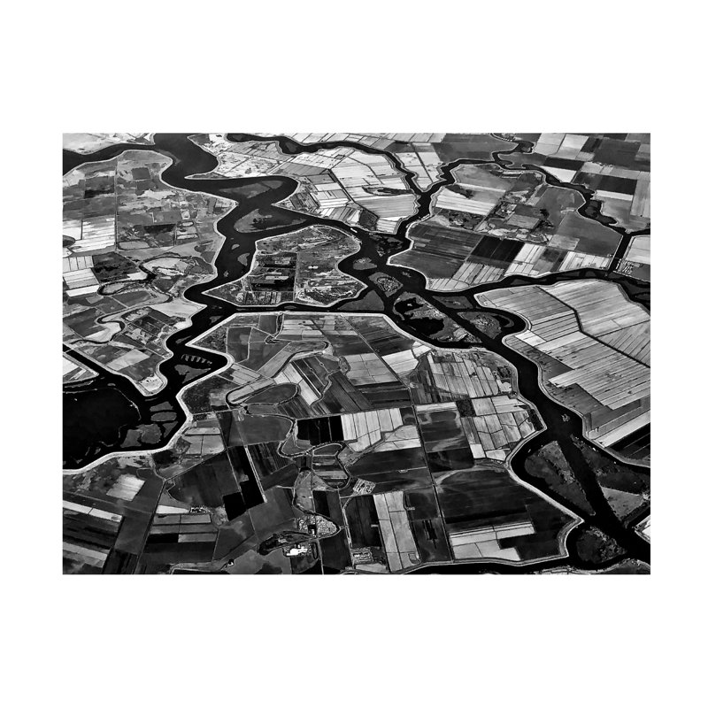 Art sur toile «olog », H 35 po x l 47 po