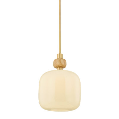 Single Light Pendant