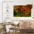 Harnek Mossy Japanese Maple-107858913