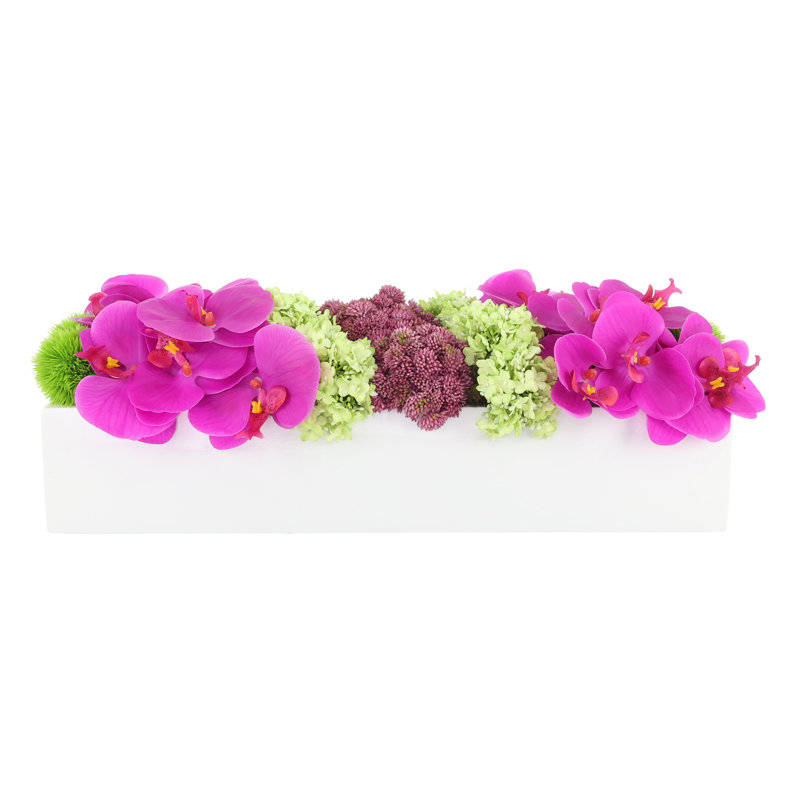 Modern Orchid and Succulent Arrangement
